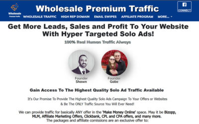 Unlock the Power of the Web with Wholesale Premium Traffic: Your Golden Ticket to Online Success